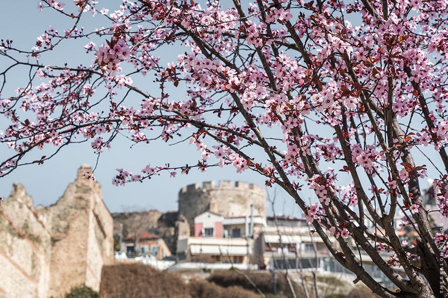 Thessaloniki in Spring