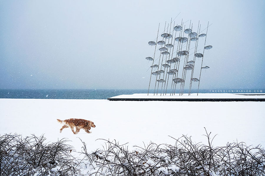 The Umbrellas Installation in Thessaloniki under Snowfall